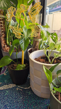 Personalised Extendable Plant Stake / Support - Butterfly Large Leaf Design  - Teacher Gift