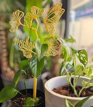 Personalised Extendable Plant Stake / Support - Butterfly Large Leaf Design  - Teacher Gift